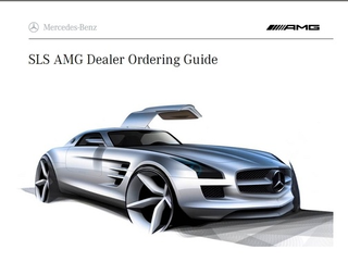 Illustration for article titled Leaked AMG Mercedes SLS Dealer Guide Details Extravagant Options